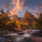 Zion National Park