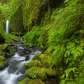 Columbia River Gorge National Scenic Area