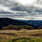 Redwood National Park