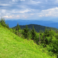 Great Smoky Mountains National Park