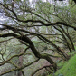 Golden Gate National Recreation Area