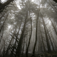 Columbia River Gorge National Scenic Area