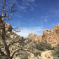 Joshua Tree National Park