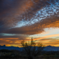 Ash Meadows National Wildlife Refuge