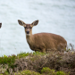 Golden Gate National Recreation Area