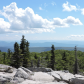Monongahela National Forest