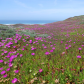 Point Reyes National Seashore