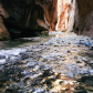 Zion National Park 