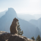 Yosemite National Park