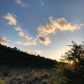 Los Padres National Forest