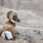 Badlands National Park 