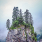 Kenai Fjords National Park