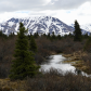 Denali National Park