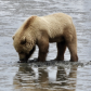 Lake Clark National Park