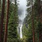 Yosemite National Park