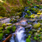 Olympic National Park 