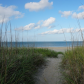 Cape Hatteras National Seashore