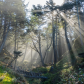 Olympic National Park 