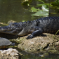 Everglades National Park