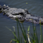 Everglades National Park