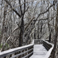 Everglades National Park