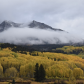 Gunnison National Forest