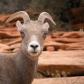 Zion National Park
