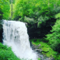 Nantahala National Forest
