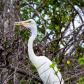 Everglades National Park