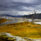 Yellowstone National Park