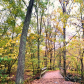 Great Falls Park