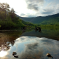 White Mountain National Forest