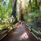 Muir Woods National Monument