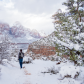 Zion National Park
