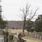 Appomattox Court House National Historical Park