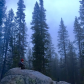 Yosemite National Park