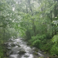 The Great Smoky Mountain National Park