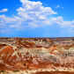 Petrified Forest National Park