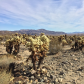 Joshua Tree National Park