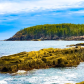 Acadia National Park