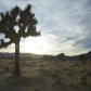 Joshua Tree National Park