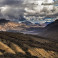 Denali National Park