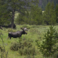 Rocky Mountain National Park