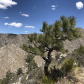 Guadalupe Mountains National Park