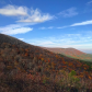 Ouachita National Forest