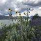 Grand Teton National Park