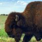 Wichita Mountains National Wildlife Refuge