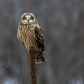 Bombay Hook National Wildlife Refuge