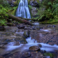 Umpqua National Forest