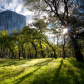 Yosemite National Park